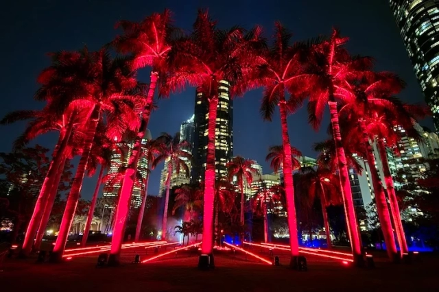 Lightscape-2024-red-palms